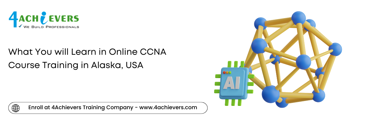 What You will Learn in Online CCNA Course Training in the Alaska, USA